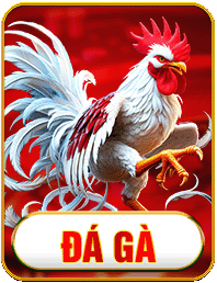đá gà u888